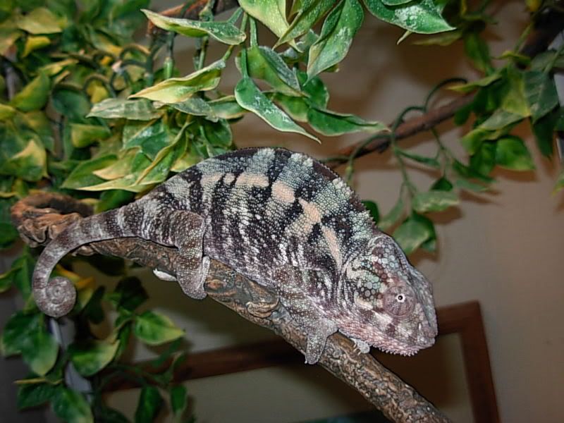DSCN2476.jpg