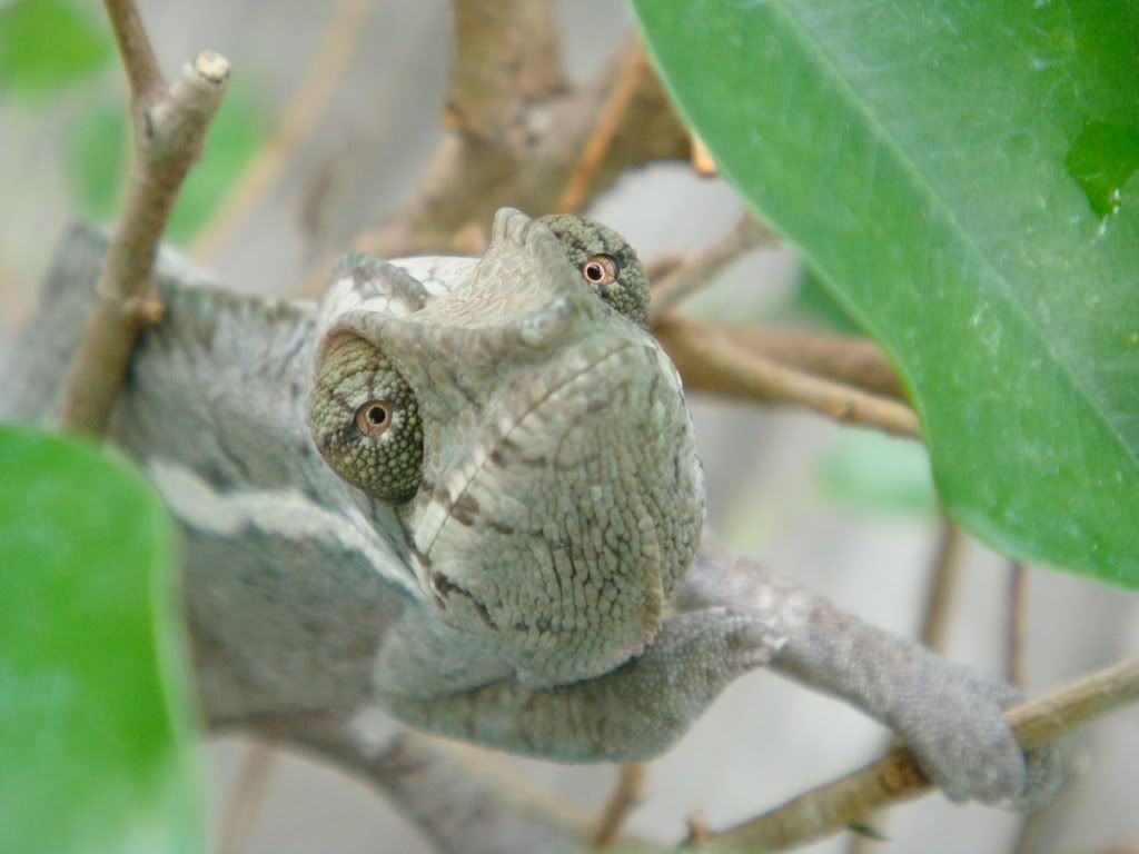 DSC01151.jpg
