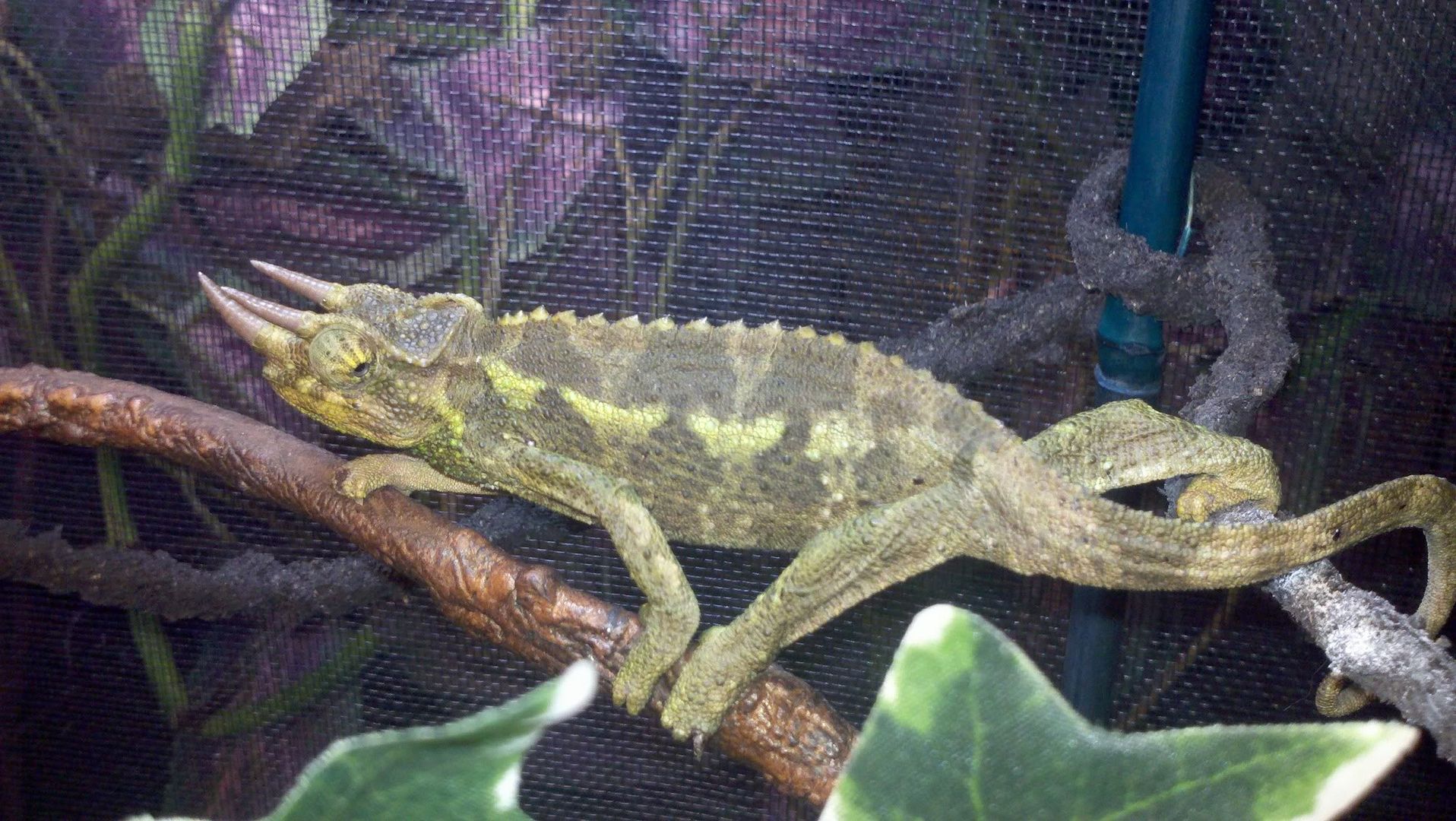 2011-06-30_22-06-02_155.jpg