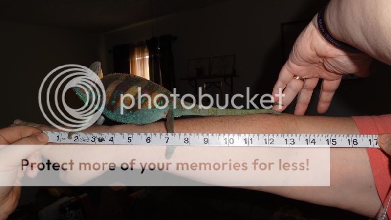 Feb10th026_zps333f8016.jpg