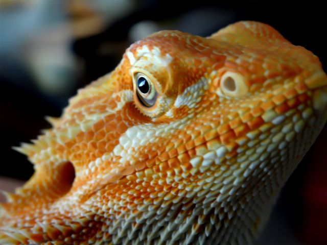 5c053d3a3d7bcc7bc92be0f4ed4c5df0.jpg