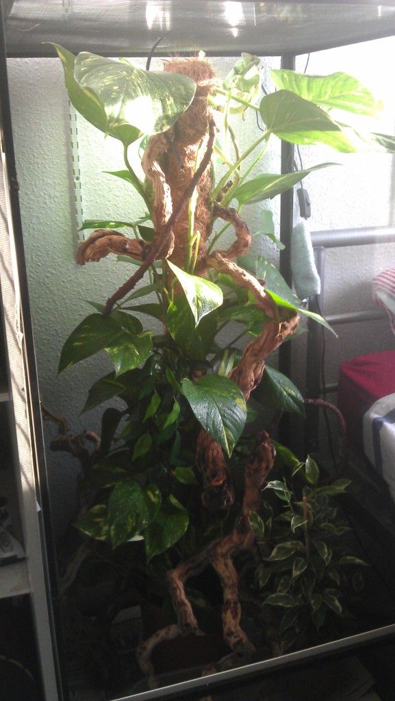 2012-06-25195452.jpg