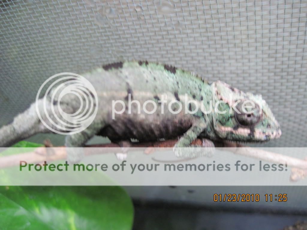 winter2009-2010032.jpg