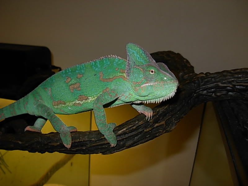 DSCN8206.jpg