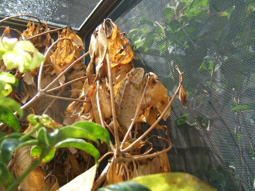 DSCF7541.jpg