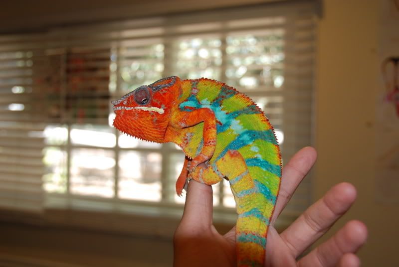 20070913006.jpg