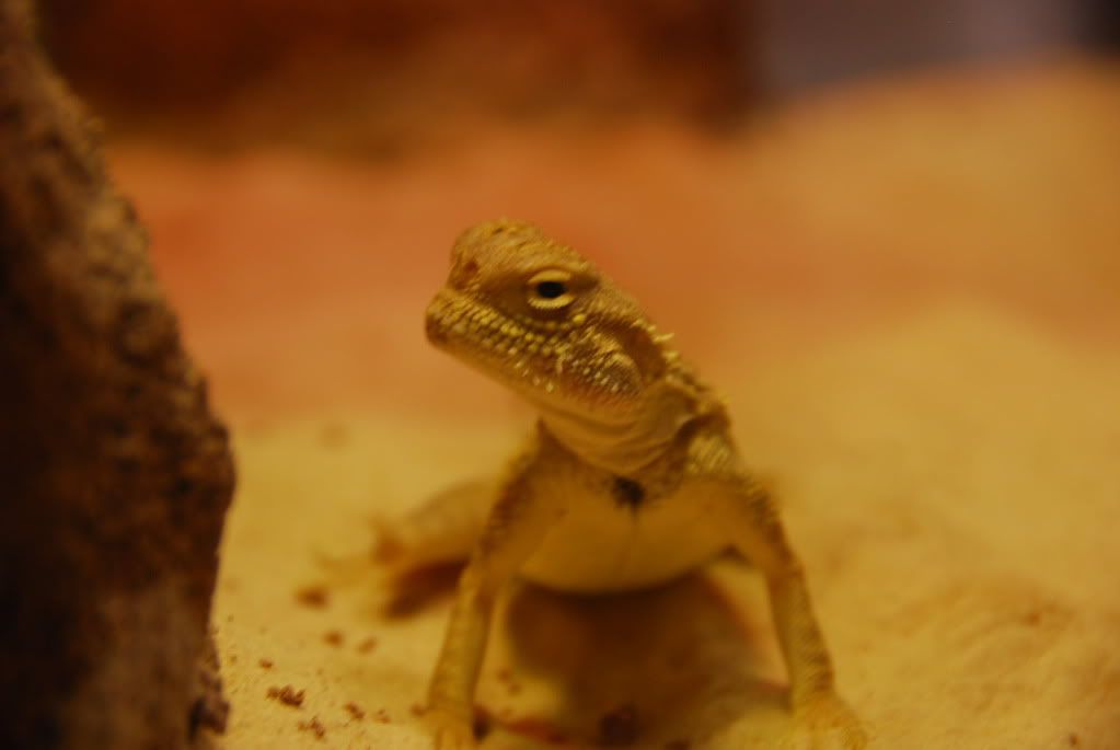 summer20111302.jpg