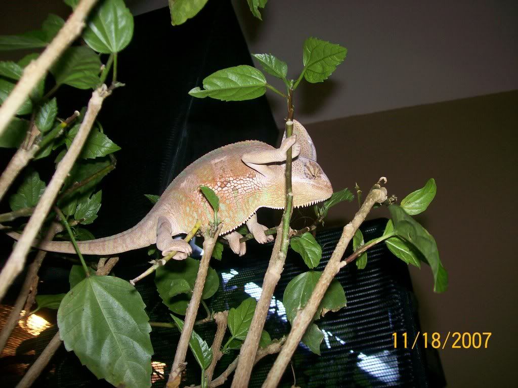 000_0001_02.jpg