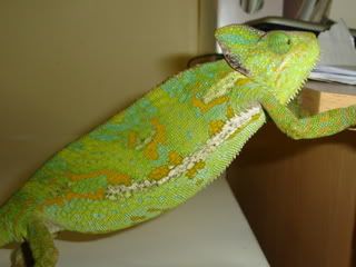 DSC01151.jpg