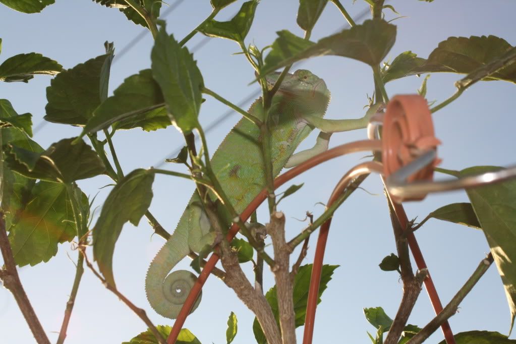 20110804_7.jpg