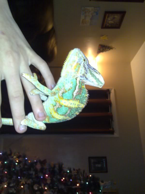 03122008020.jpg