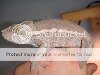 IMG_0025.jpg