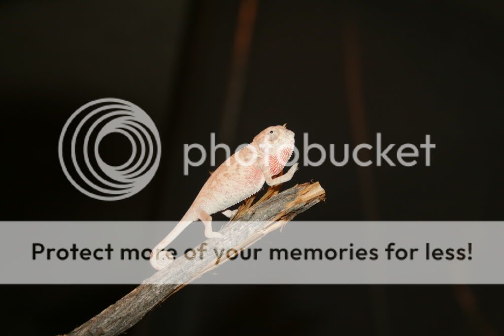 picsfromtoday008.jpg