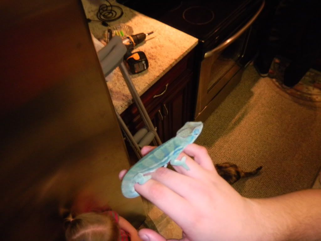 DSCN0154.jpg