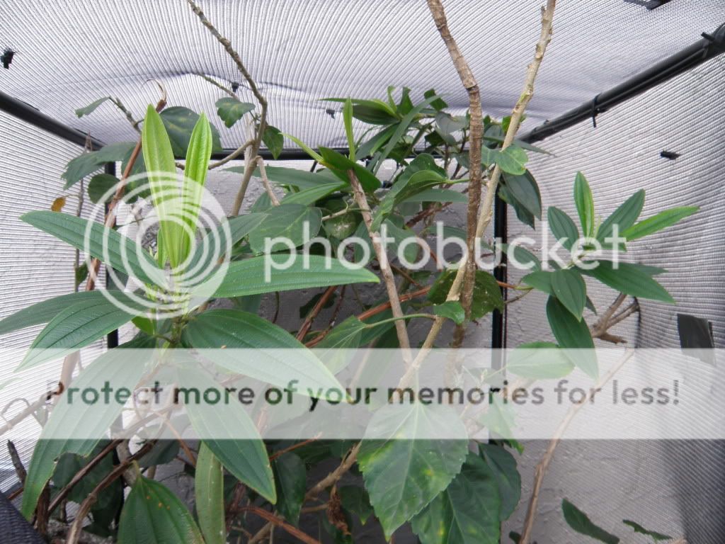 PB210791.jpg