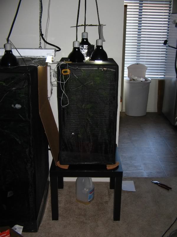 IMG_6070RS.jpg