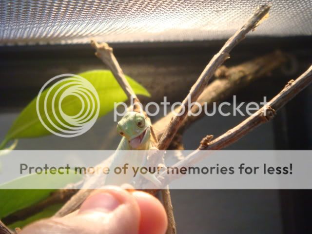 DSC03969.jpg