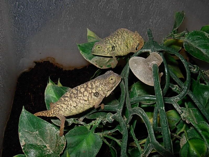 DSCN3912.jpg