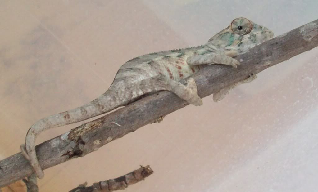 100_1269a.jpg