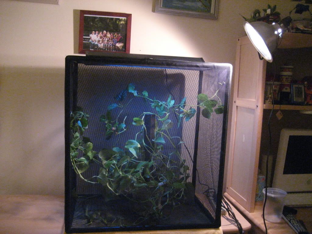 IMG_1858.jpg