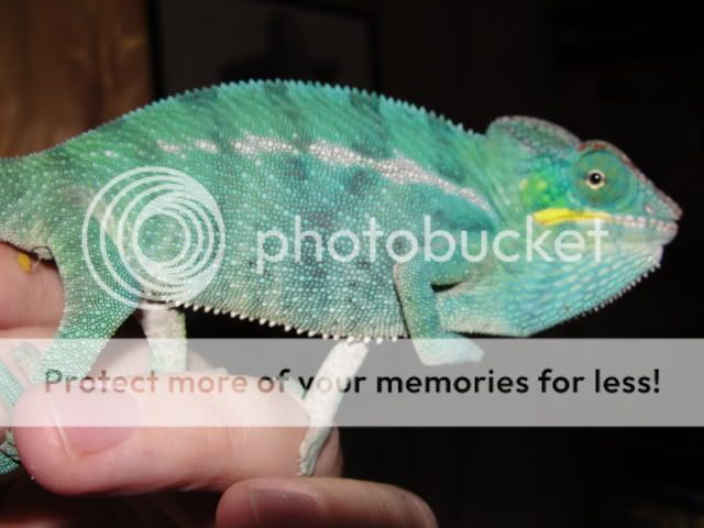 sep09006.jpg