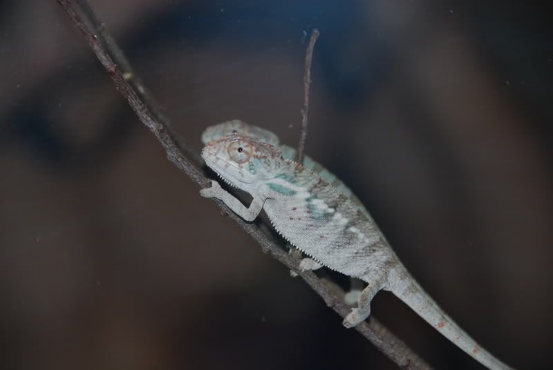 20070913072.jpg