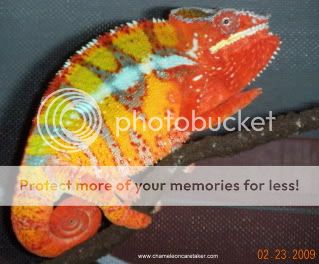 DSCN0519.jpg