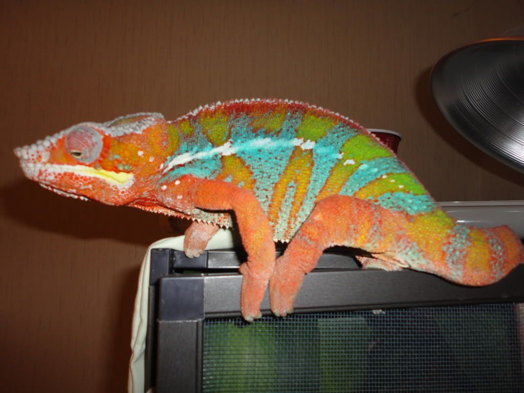 DSC00289.jpg