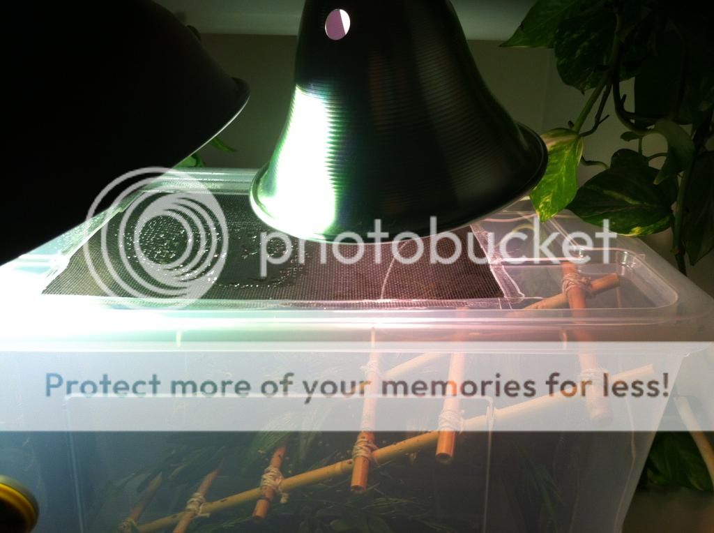 photo2_zps71d3fce1.jpg