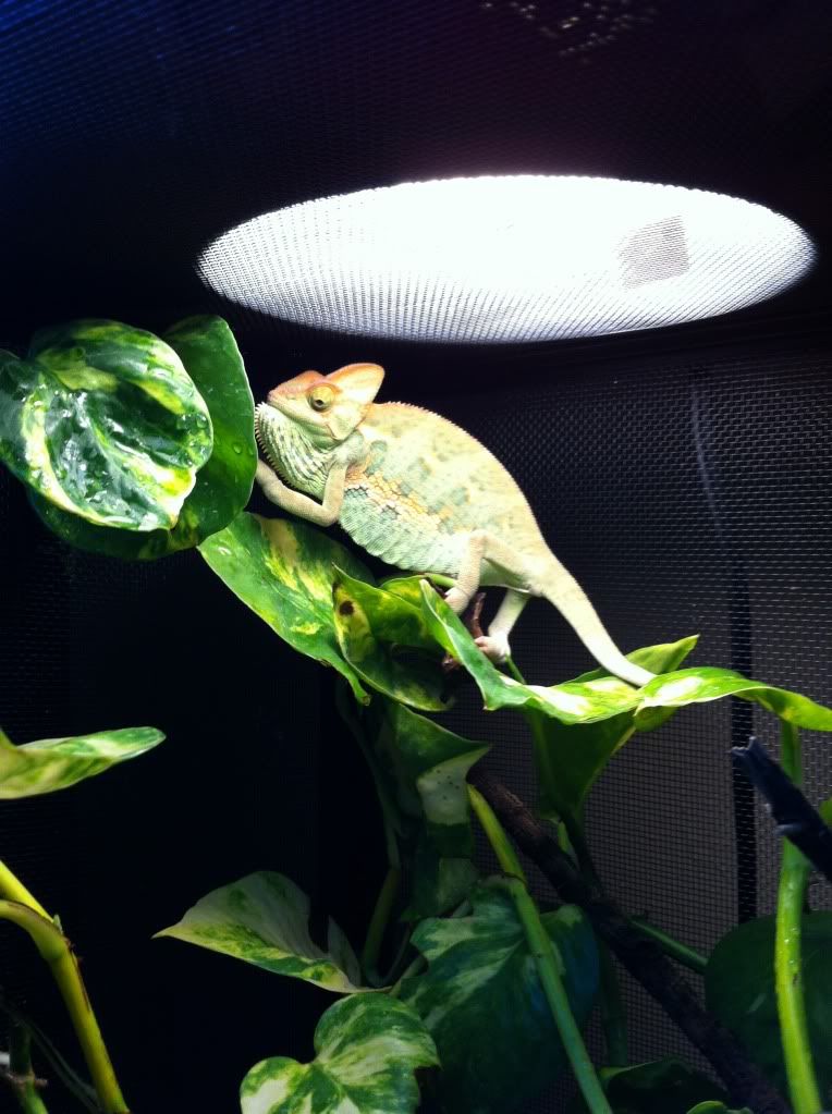 2012-10-08144448.jpg