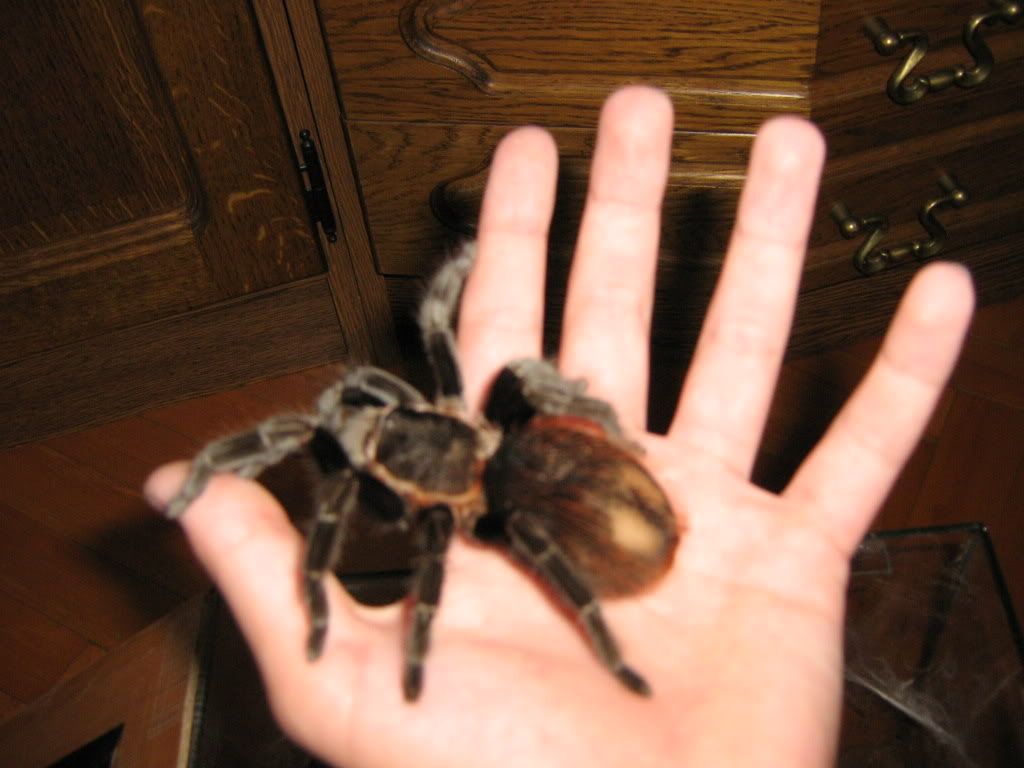 IMG_0245.jpg