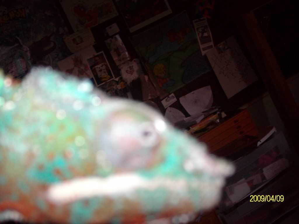 SANY1009.jpg
