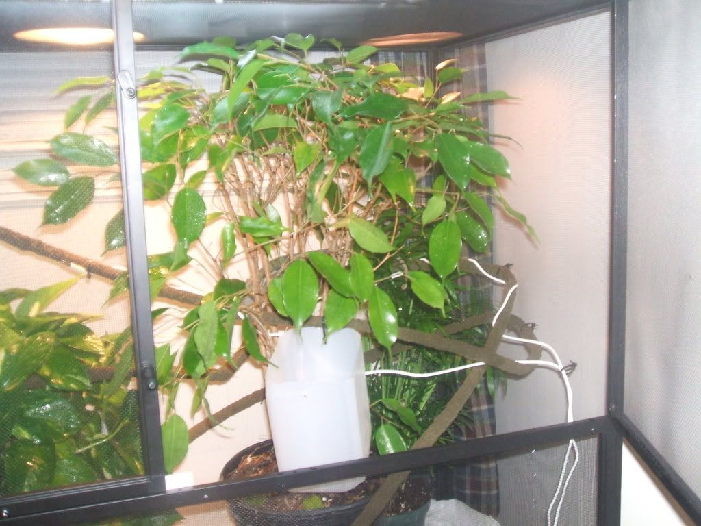 DSCF1725.jpg