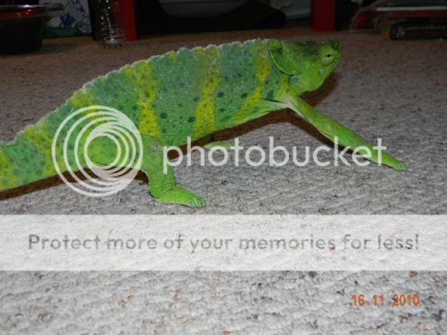 20101116_31.jpg