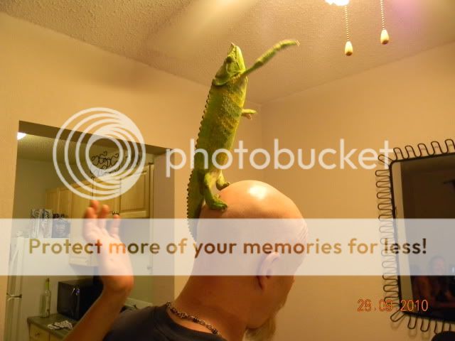 20100928_25.jpg