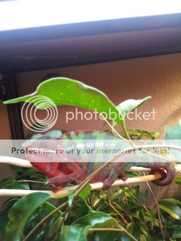 20120804_184523.jpg