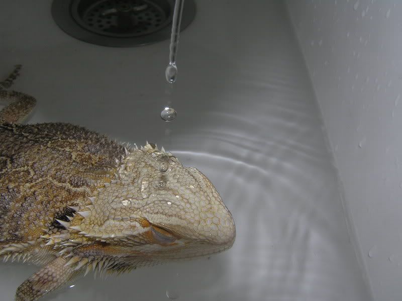 bathtime011.jpg