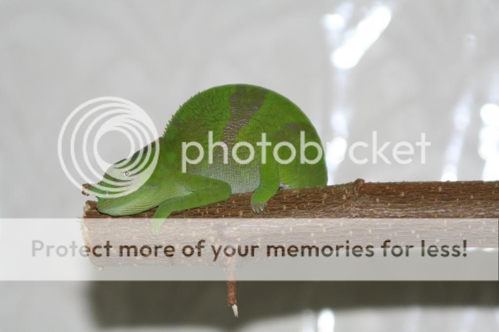IMG_6205_zps2c6440cc.jpg