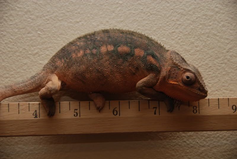 20080102002.jpg