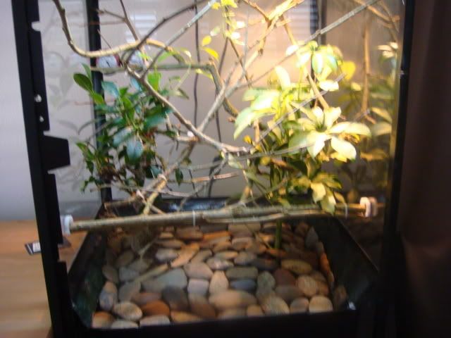 DSC03520.jpg