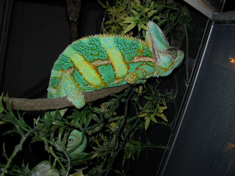 DSCN5553.jpg