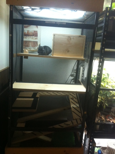 cagecomplete1_zpsb002d4a9.png