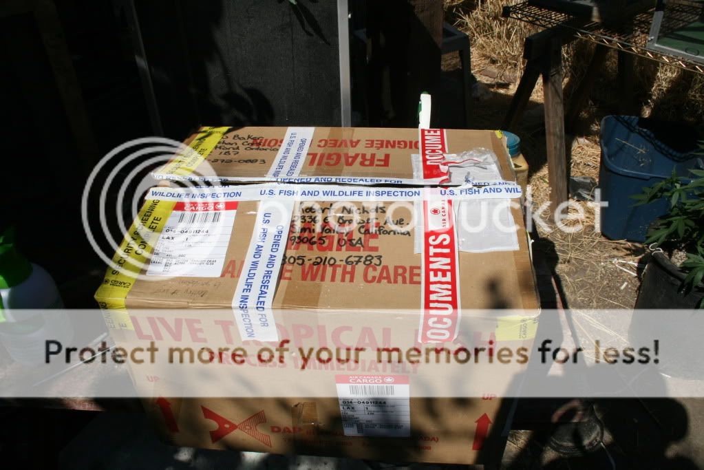 chamnationimport002.jpg