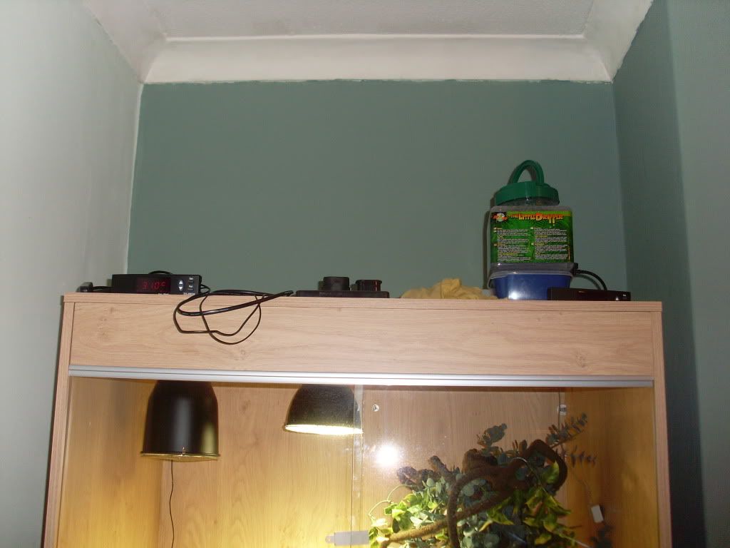 Picture093.jpg
