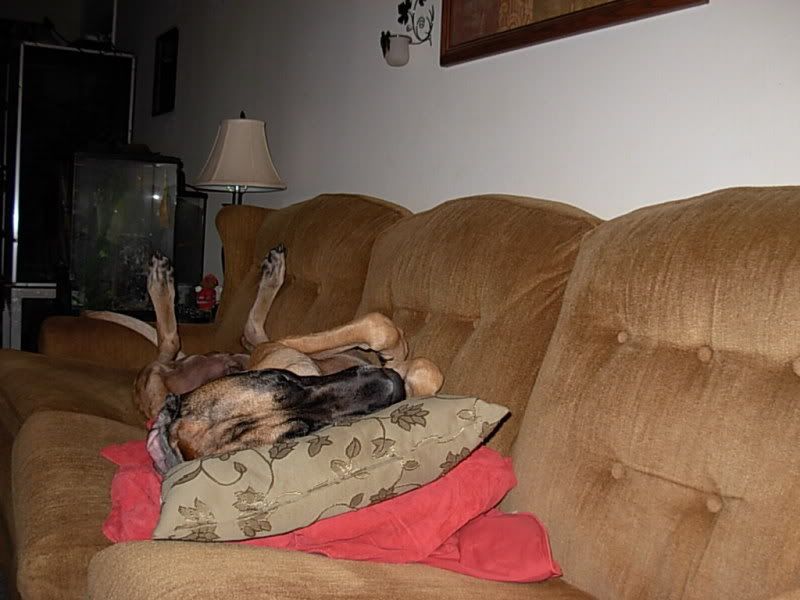 DSCN8265.jpg