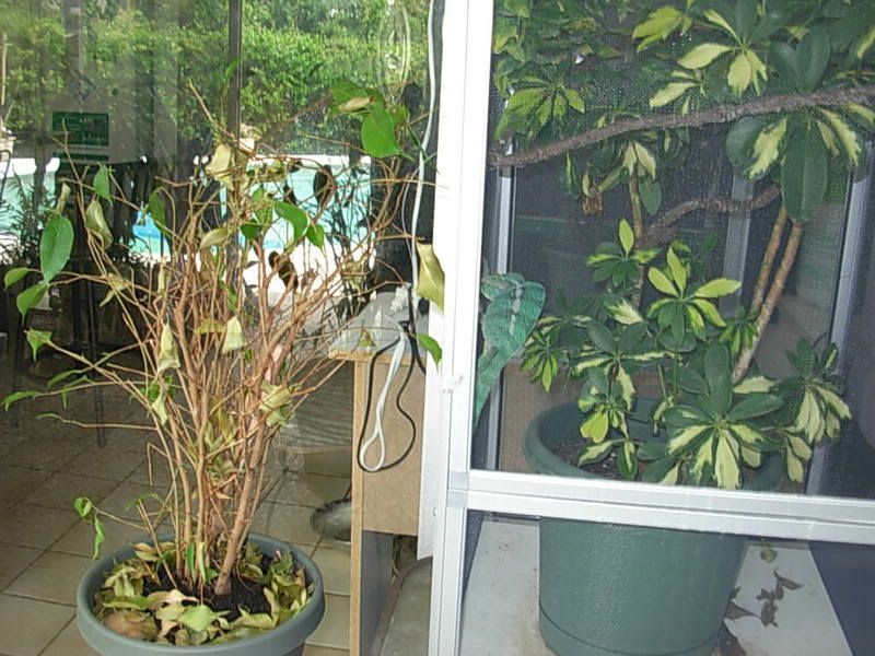 DSCN1678.jpg