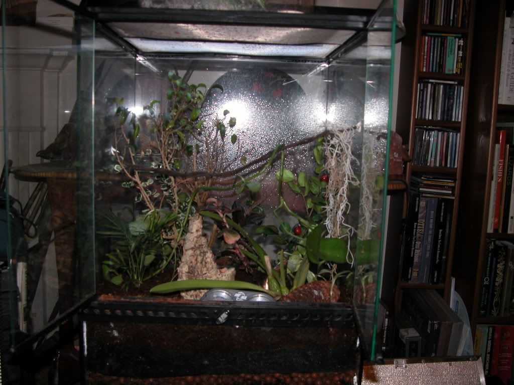 DSCN9444.jpg
