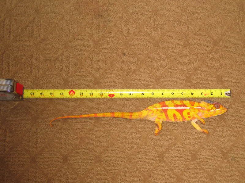 20080411001.jpg
