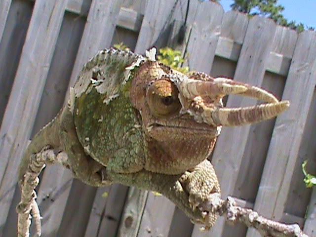 DSC00006.jpg
