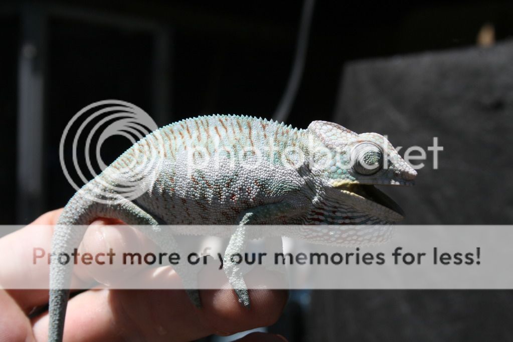 outsidepics041.jpg